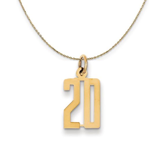 14k Yellow Gold, Alumni Small Elongated Number 20 Necklace - 18 Inch - Picture 1 of 6
